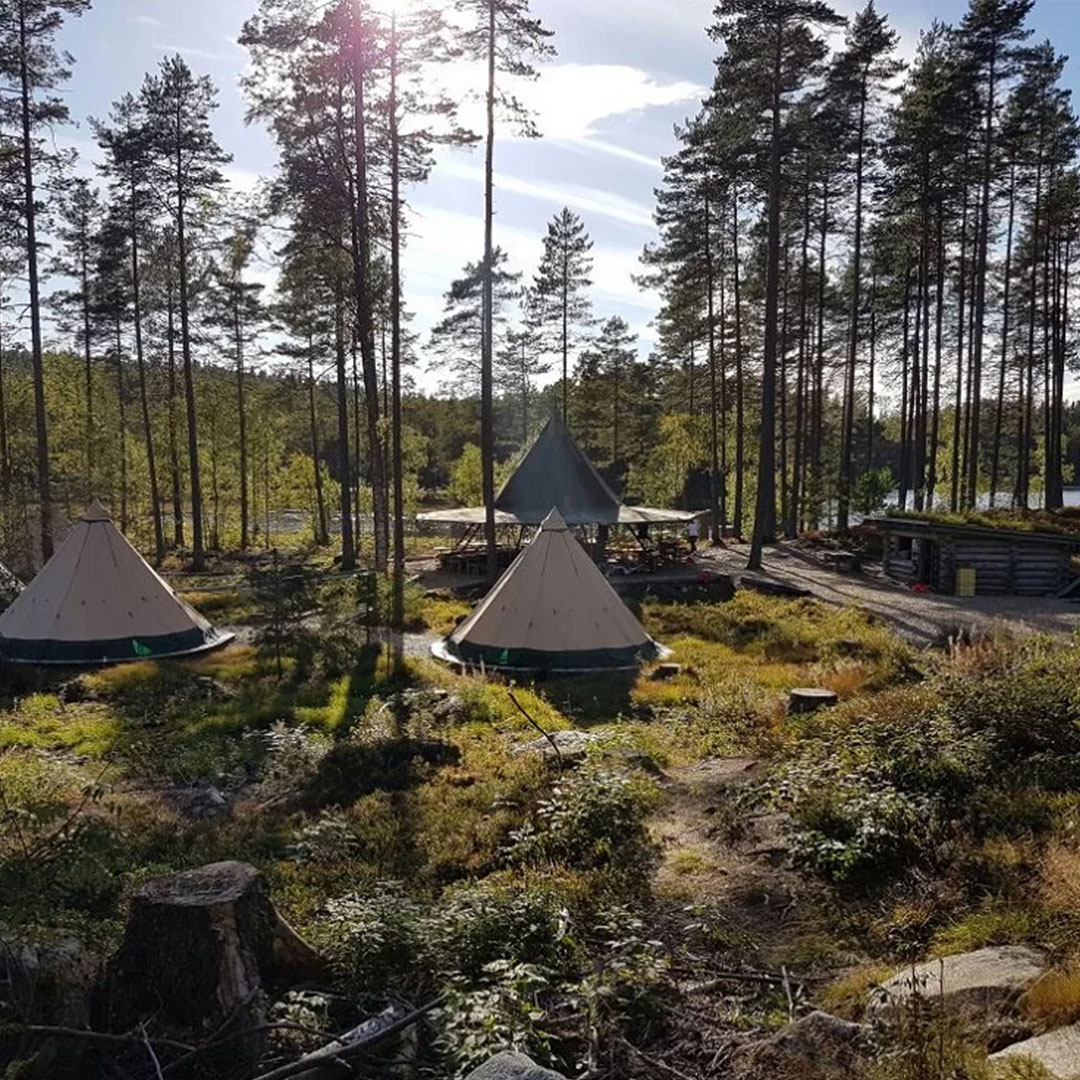 Flere sovelavvo samlet