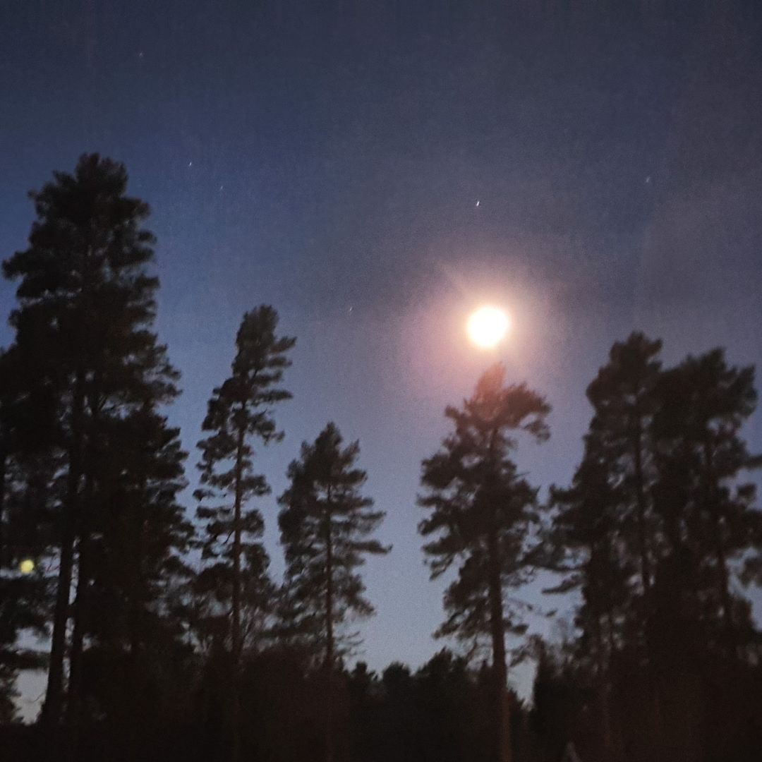 Design uten navn (94)